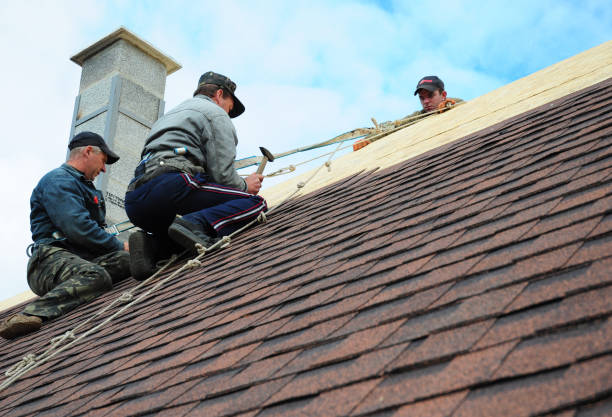 Best Roof Gutter Cleaning  in East Lake, FL